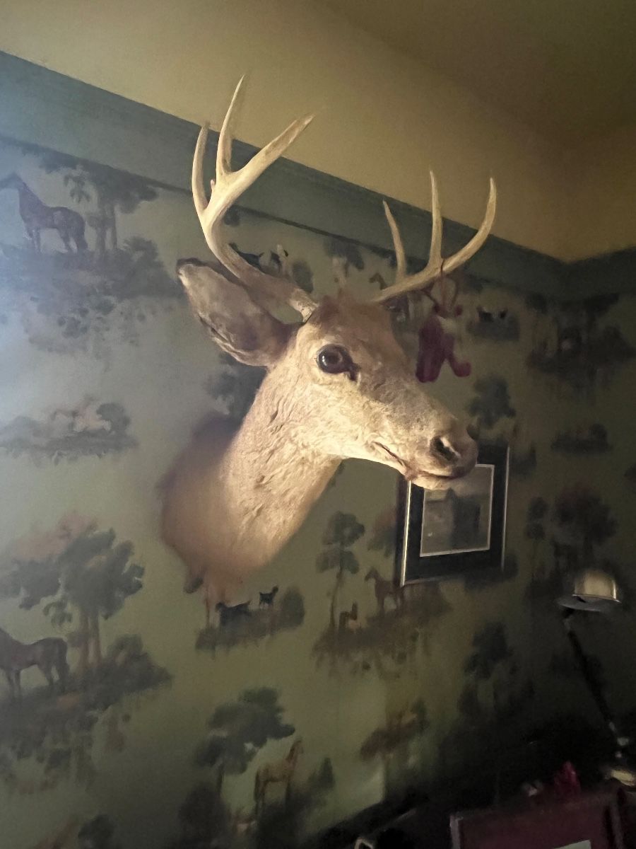 Mounted deer displayed against equestrian wallpaper at the Caldwell estate sale